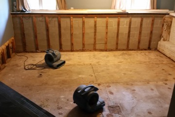 Damage Repair